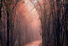 绝杀取胜！巴西2-1哥伦比亚全场数据：射门16-10，射正7-3.