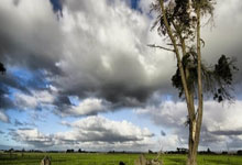 雷速体育:“十五运”香港赛区11月开始举办测试赛.