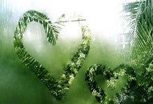 全尤文：尤文图斯决定重新加入前锋奥斯梅恩的争夺战.