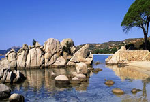 雷速体育：“十五运”香港赛区11月开始举办测试赛.